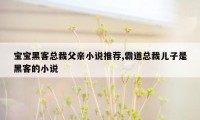 宝宝黑客总裁父亲小说推荐,霸道总裁儿子是黑客的小说