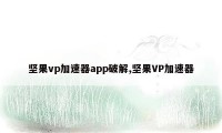 坚果vp加速器app破解,坚果VP加速器