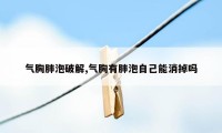 气胸肺泡破解,气胸有肺泡自己能消掉吗