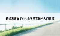 初级黑客自学8个,自学黑客技术入门教程