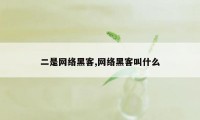 二是网络黑客,网络黑客叫什么