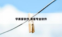 学黑客软件,黑客专业软件