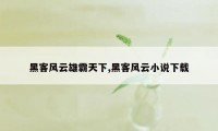 黑客风云雄霸天下,黑客风云小说下载