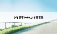 少年黑客2016,少年黑客派