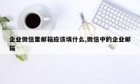 企业微信里邮箱应该填什么,微信中的企业邮箱