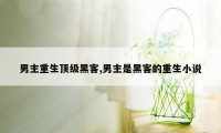 男主重生顶级黑客,男主是黑客的重生小说