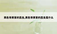 黑色带黑客的昆虫,黑色带黑客的昆虫是什么