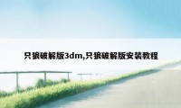 只狼破解版3dm,只狼破解版安装教程