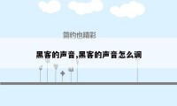 黑客的声音,黑客的声音怎么调