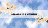 小鲜女破解版,小鲜花破解版