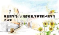 黑客要学习什么程序语言,学黑客技术要学什么语言