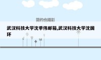 武汉科技大学沈季伟邮箱,武汉科技大学沈国环