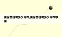 黑客主机有多少内存,黑客主机有多少内存够用