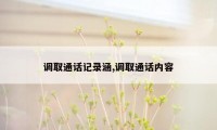 调取通话记录涵,调取通话内容