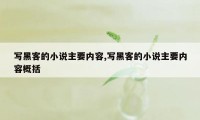 写黑客的小说主要内容,写黑客的小说主要内容概括