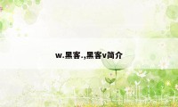 w.黑客.,黑客v简介